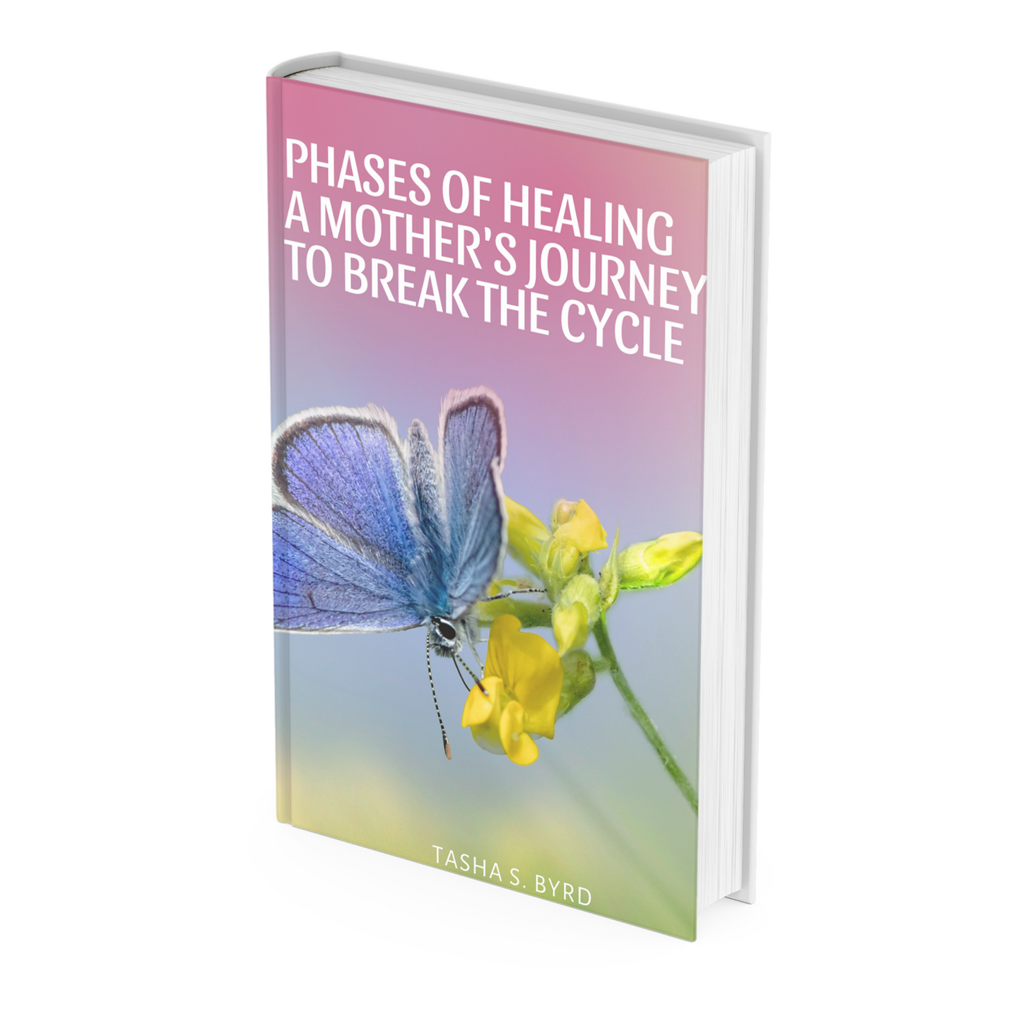 PHASES OF HEALING A MOTHER'S JOURNEY TO BREAK THE CYCLE